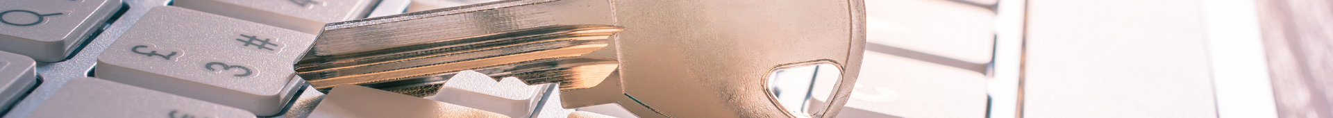 banner-top